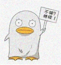 观测留言读者头像一